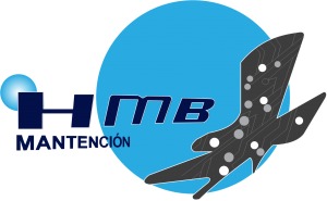 cropped-logo-alta-300x185